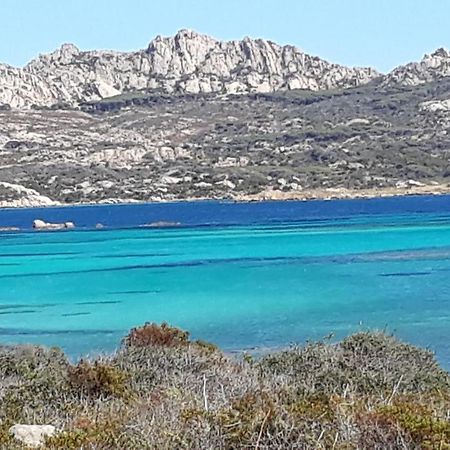 L'Asfodelo Bed & Breakfast La Maddalena  Dış mekan fotoğraf