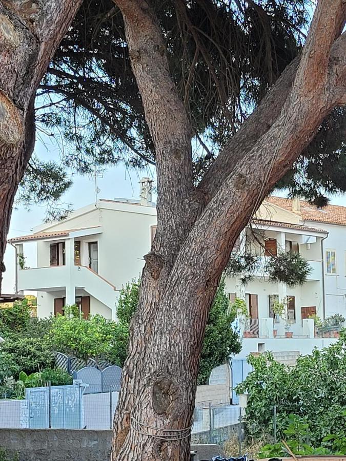 L'Asfodelo Bed & Breakfast La Maddalena  Dış mekan fotoğraf